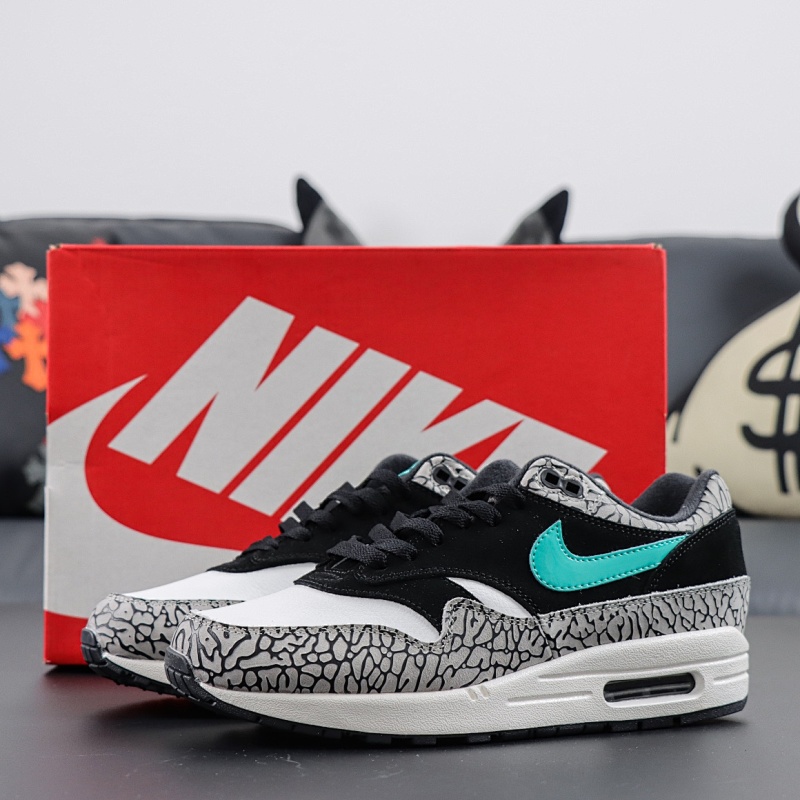 NK Air Max 1