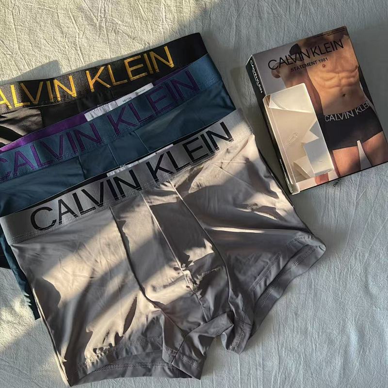 CK SILK underwear