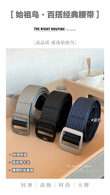 P120 belt