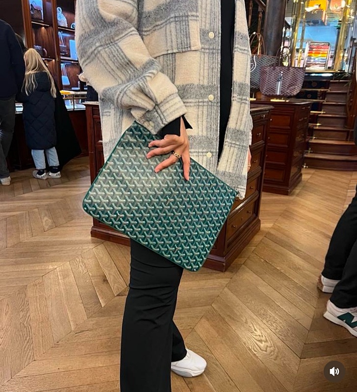Sénat MM Pouch goyard( big an small size)