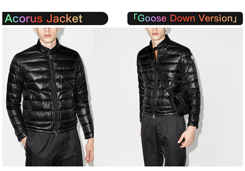 Goose Acorus Jacket